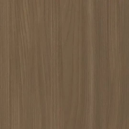 Camel Elm 5795-58