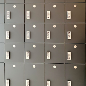 Fusing-Functionality-and-Style-with-Spectrum-Lockers-at-Panago